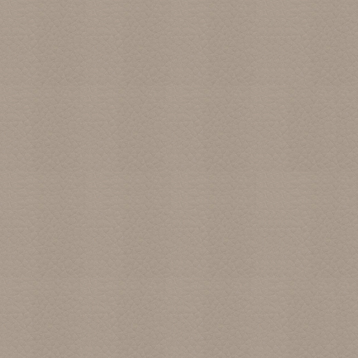 G: Premier-368 Peanut Leatherette by Sileather