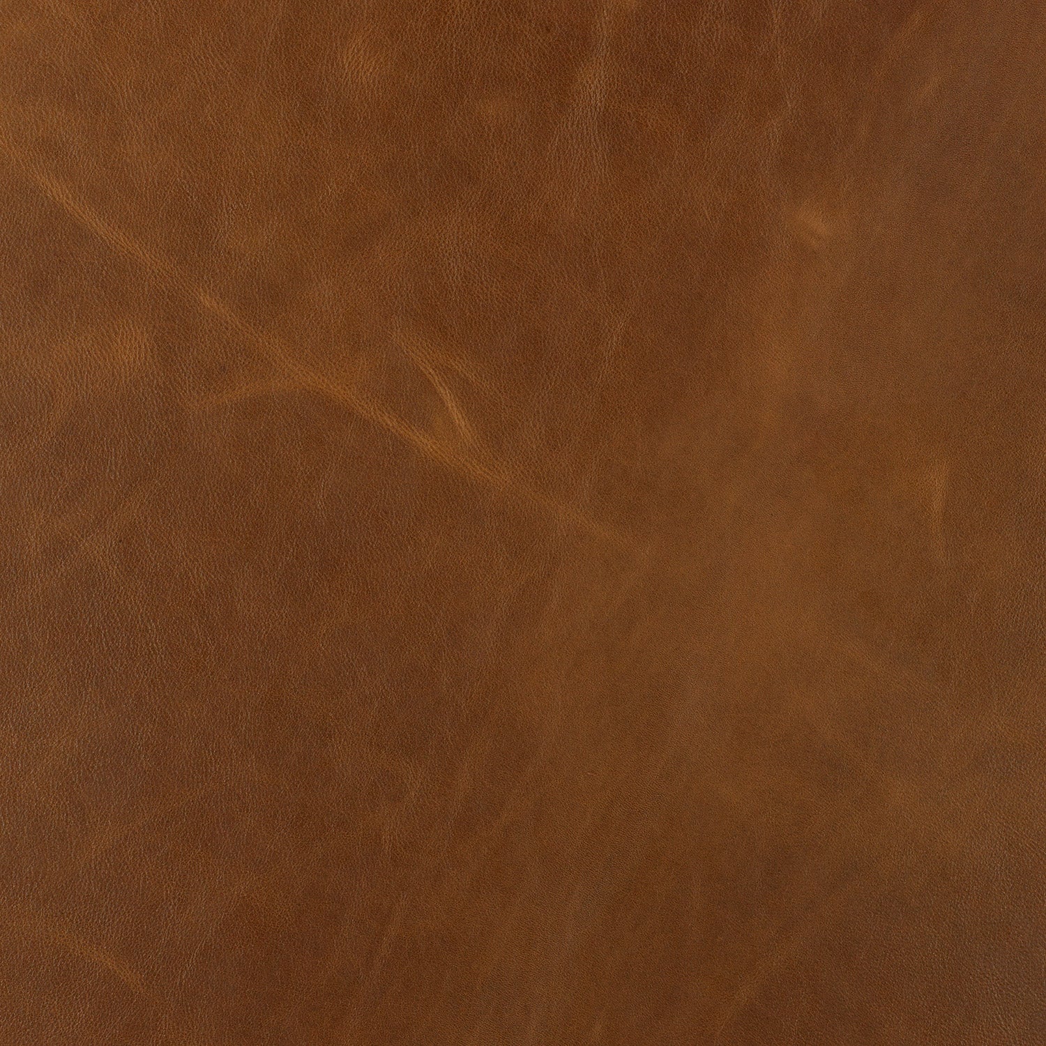 Sundance Marigold distressed full grain leather