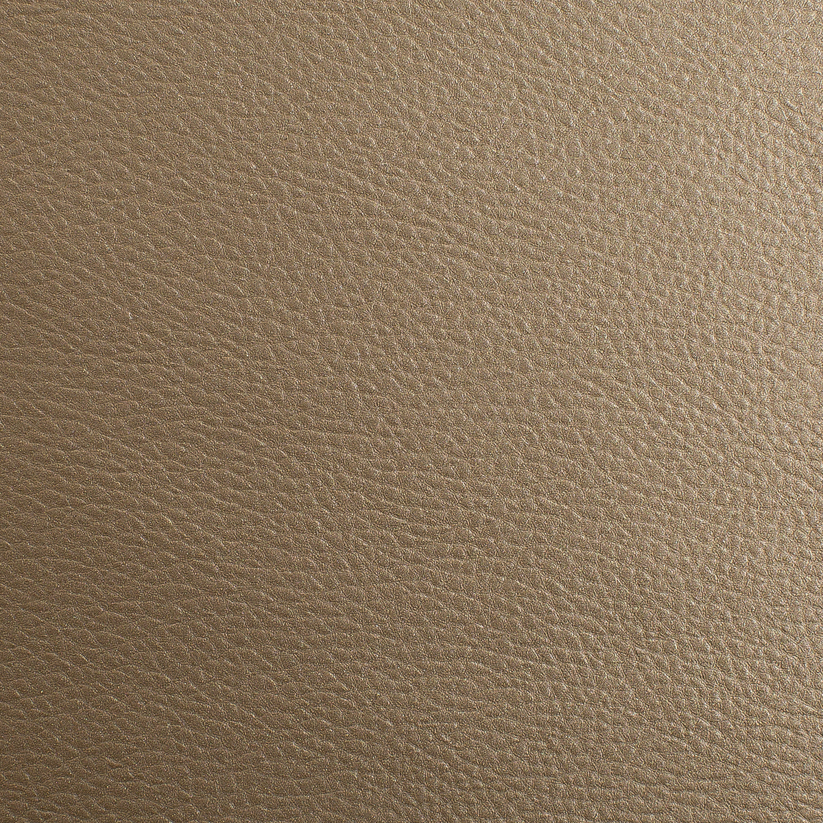 G: Premier-927 Vegas Leatherette by Sileather